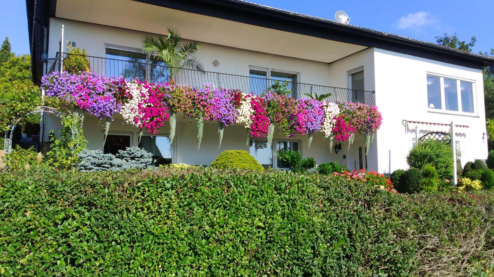 Haus Alexandra Apartment Schoneberg  Exterior photo